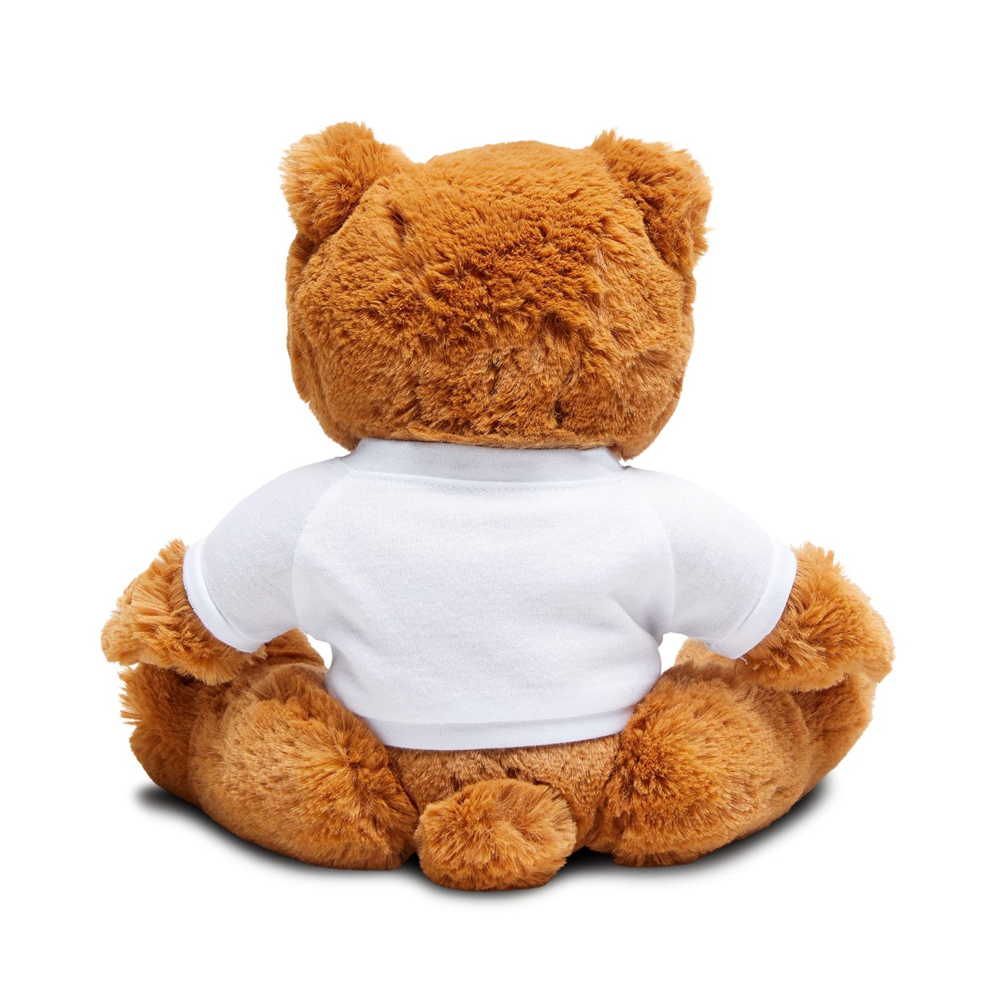 Teddy Bear with T-Shirt featuring CompassCare American Flag logo