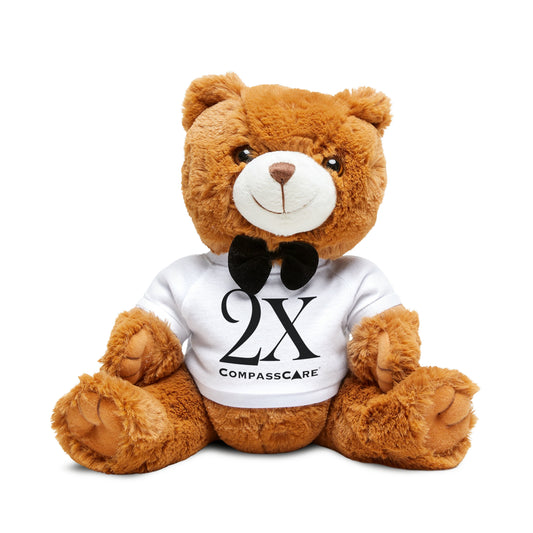 2X Teddy Bear
